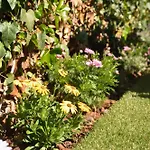 Miramar Holiday home Sitges